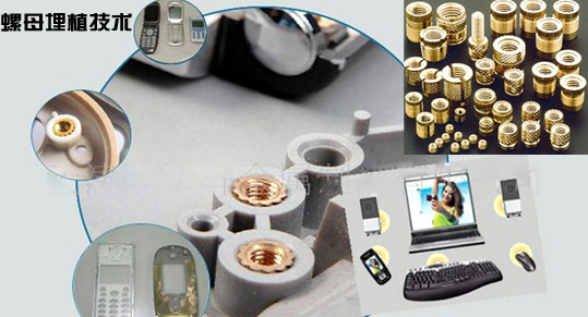 ������ֲ��ĸ�O��