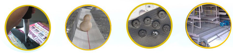 �u����S�Bֳ���͎������c(di��n)���C