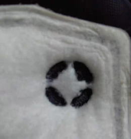 �����޳��������^