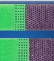 ���zħ�g(sh��)�N