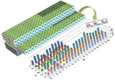 �늳ر��Ї��s�� �ձ�Ҫ�e���аl(f��)ȫ�̑B(t��i)늳�