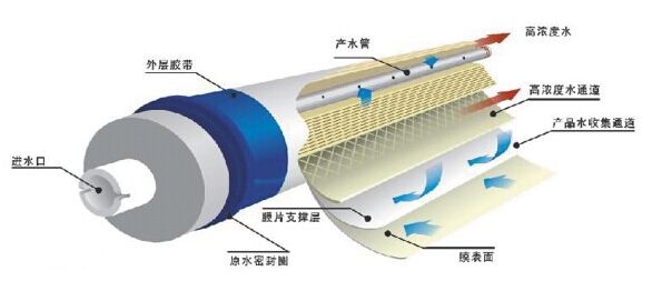 DTRO���B͸Ĥ���ܺ���ָ��