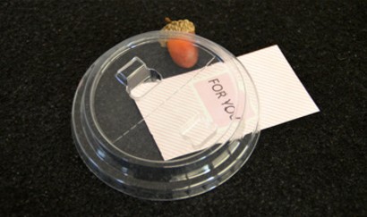 透明塑料奶茶半開(kāi)杯蓋特點(diǎn)及應用