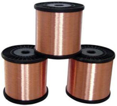 �~��(xi��n)�ı�e����