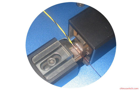 �~�z��������