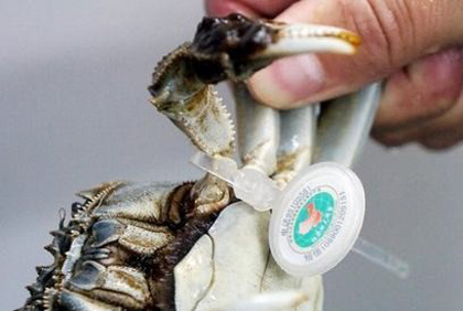 �(y��ng)�κ����lз�����_�h(hu��n)���C