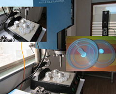 �o(w��)����͸��Ĥ�NĤ�C