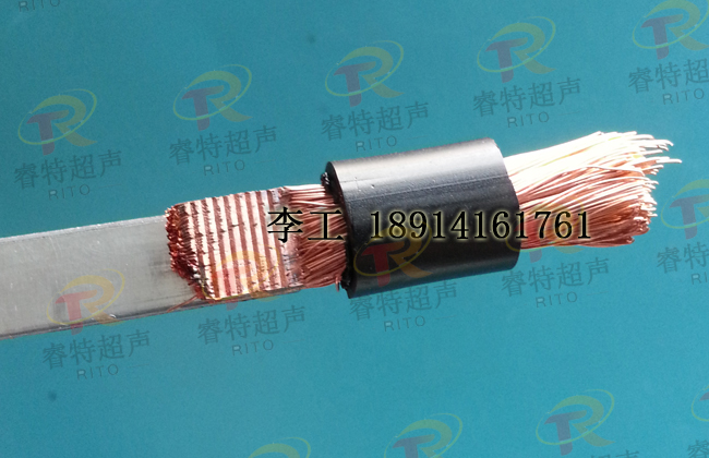 �XƬ+�~��(xi��n)������