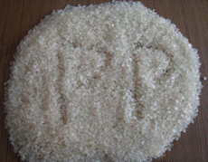 PP�����B�ӹ�ˇ�x�񣺳������͟���۽�