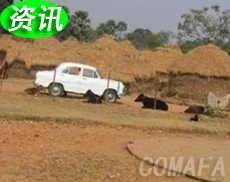 ӡ���r����܇(ch��)�Ј�(ch��ng)ǰ���V� �����nϵ܇(ch��)����