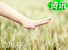 �����ИI(y��)�N(xi��o)�����fƽ�� �����P(gu��n)ע�{�I�����r(ji��)ֵ